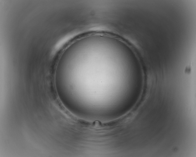 X0000114631311200910201411