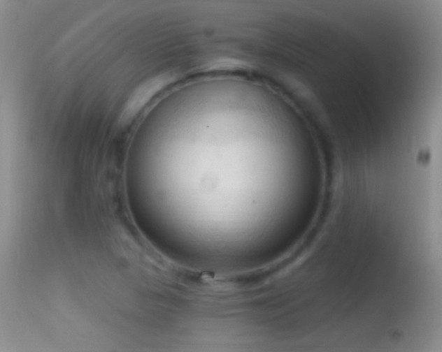 X0000114631313200910201411