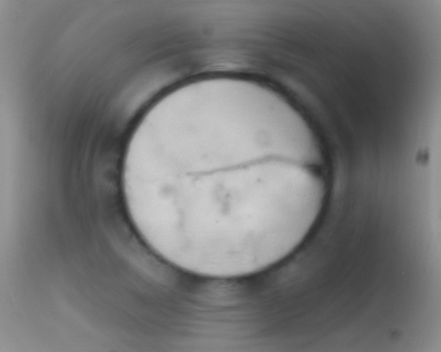 X0000114631314200910201411