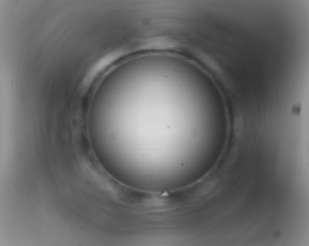 X0000114631315200910201411