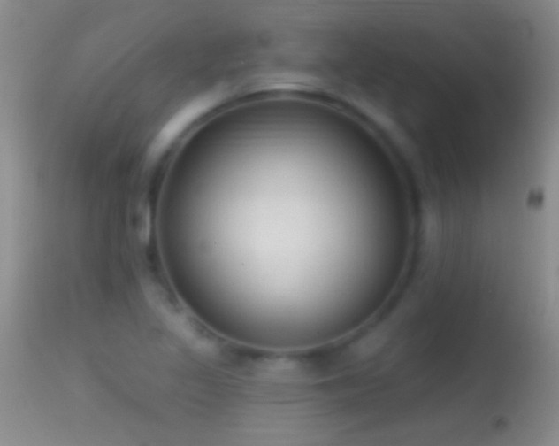 X0000114631317200910201411