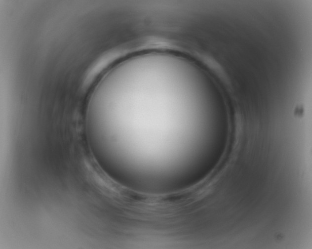 X0000114631318200910201411