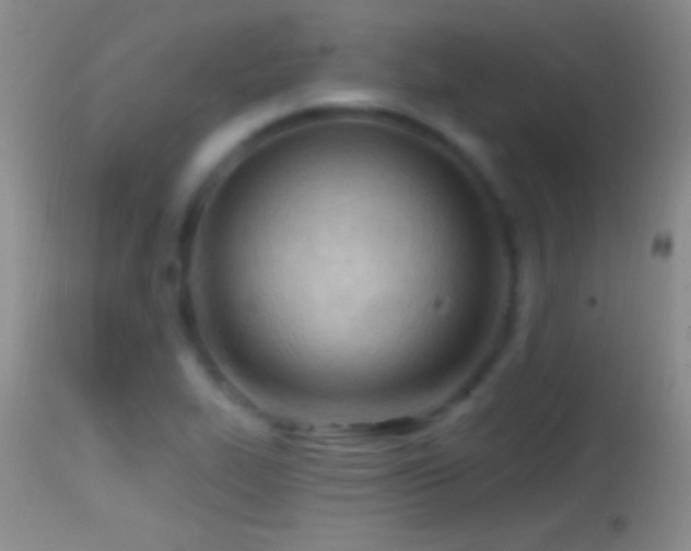 X0000114631319200910201411