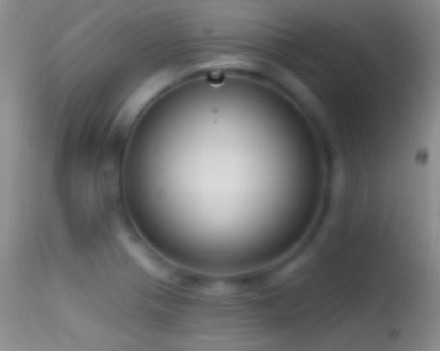 X0000114631321200910201411