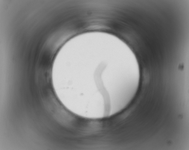 X0000114631322200910201411