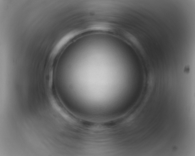 X0000114631323200910201411