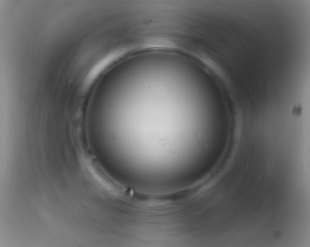 X0000114631325200910201411