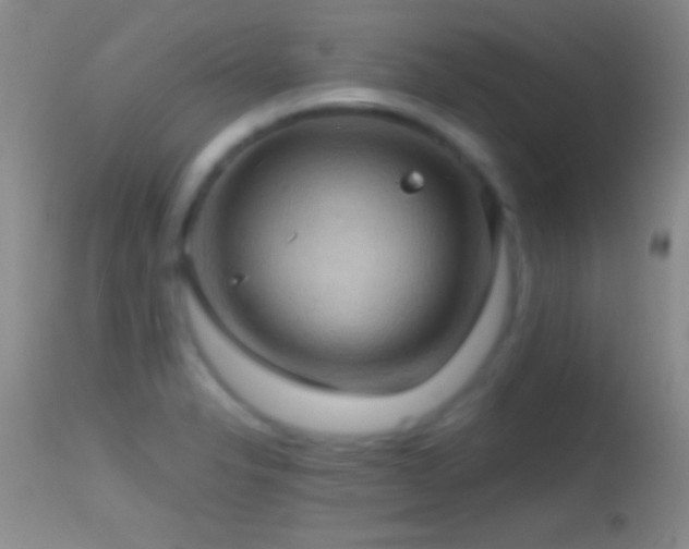 X0000114631326200910201411