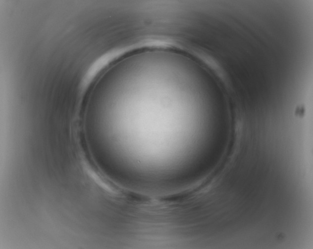 X0000114631327200910201411