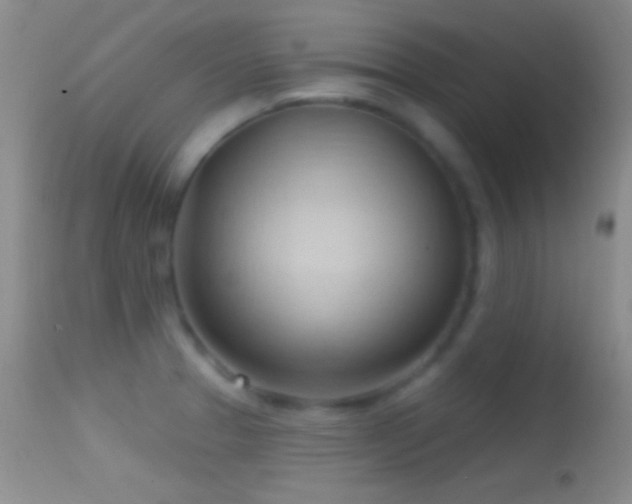 X0000114631329200910201411