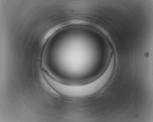 X0000114631330200910201411