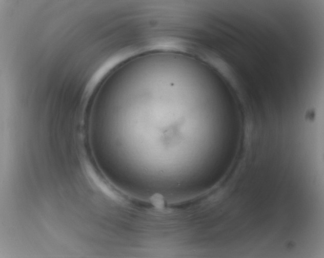 X0000114631331200910201411