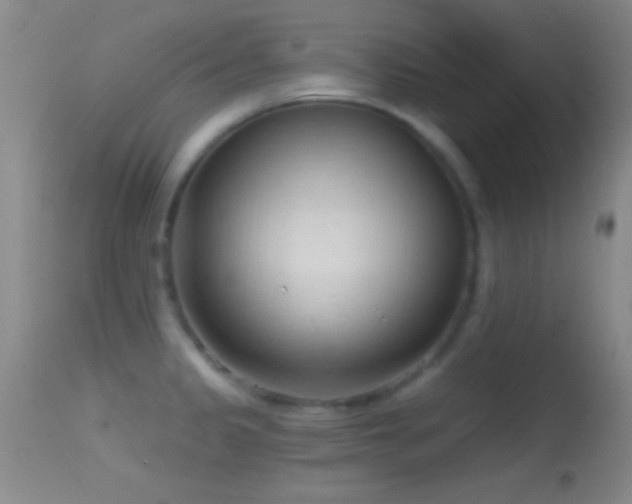 X0000114631333200910201411