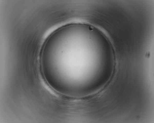 X0000114631335200910201411