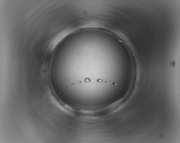 X0000114631337200910201411