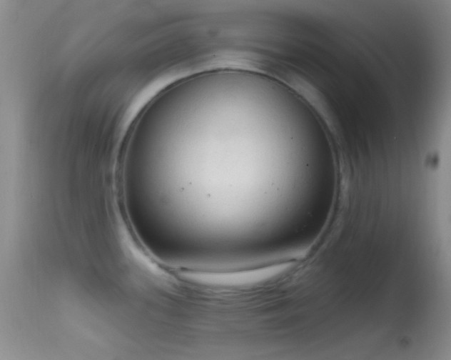 X0000114631339200910201411