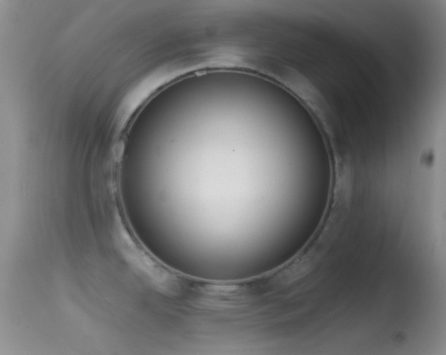 X0000114631342200910201411