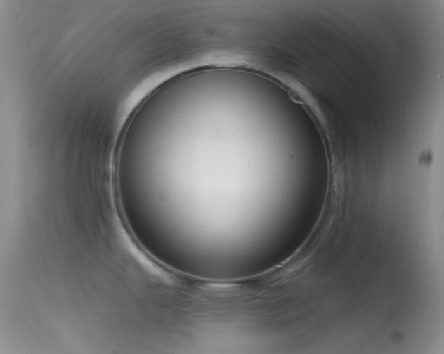 X0000114631343200910201411