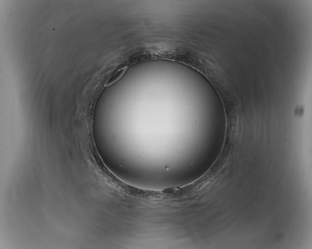 X0000114631345200910201411