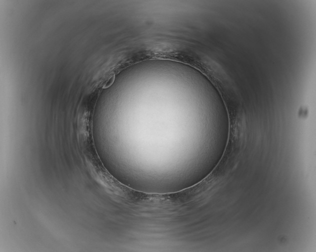 X0000114631346200910201411