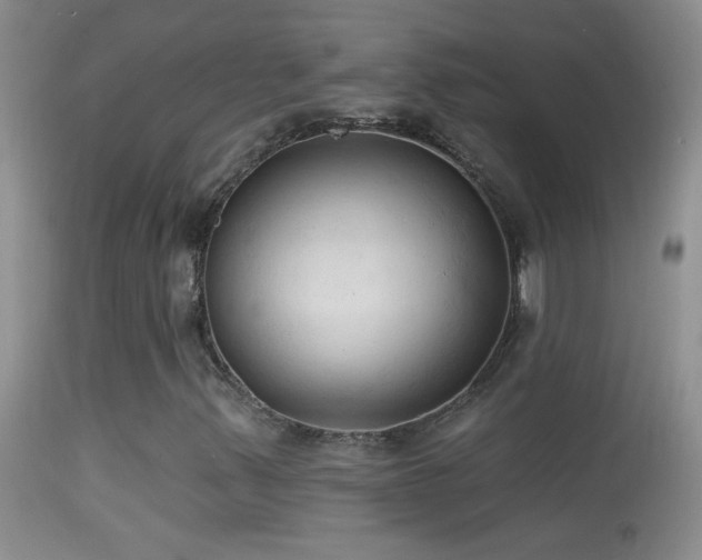 X0000114631347200910201411