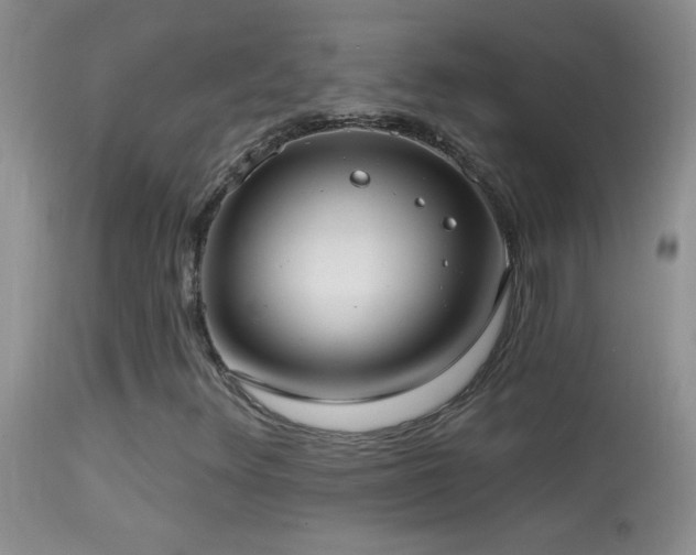 X0000114631348200910201411