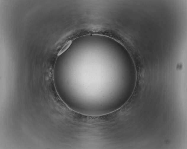 X0000114631349200910201411