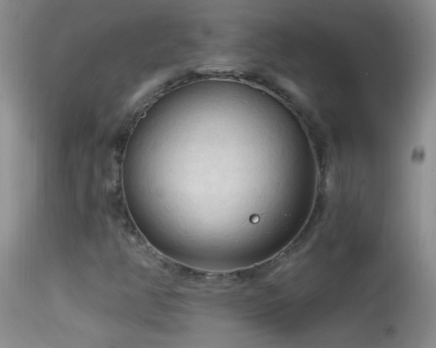 X0000114631350200910201411