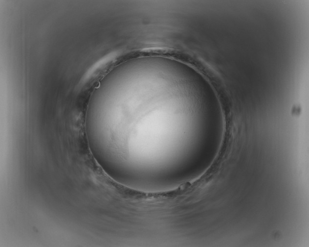 X0000114631351200910201411