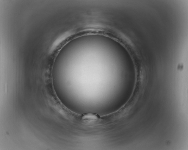 X0000114631352200910201411