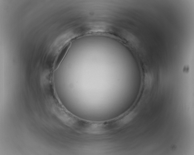 X0000114631353200910201411