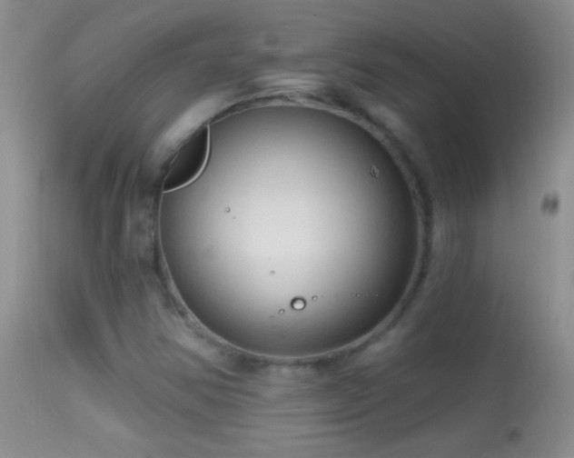 X0000114631354200910201411