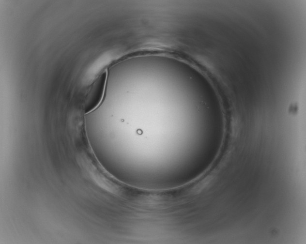 X0000114631355200910201411