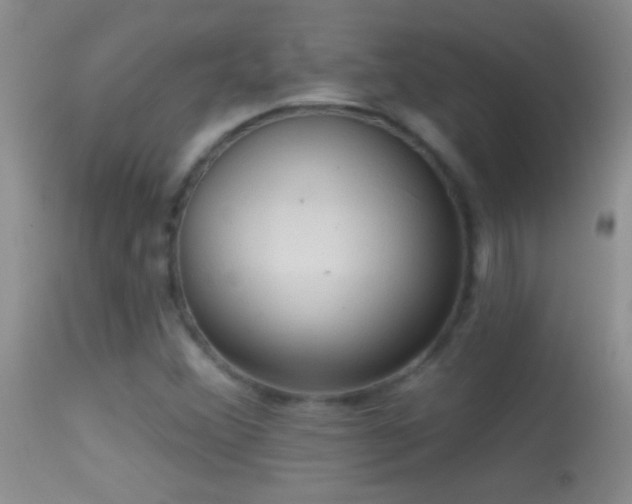 X0000114631356200910201411