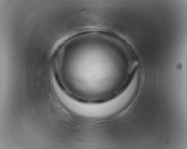 X0000114631357200910201410