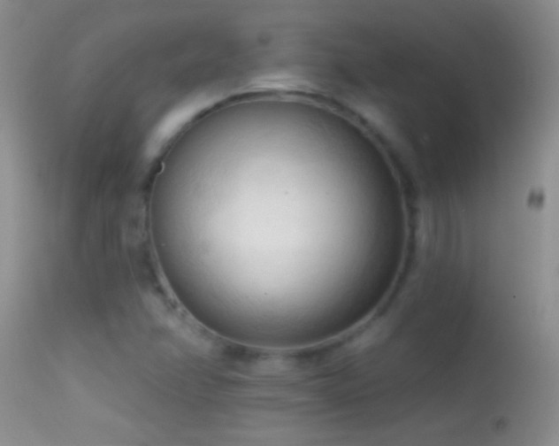 X0000114631358200910201410