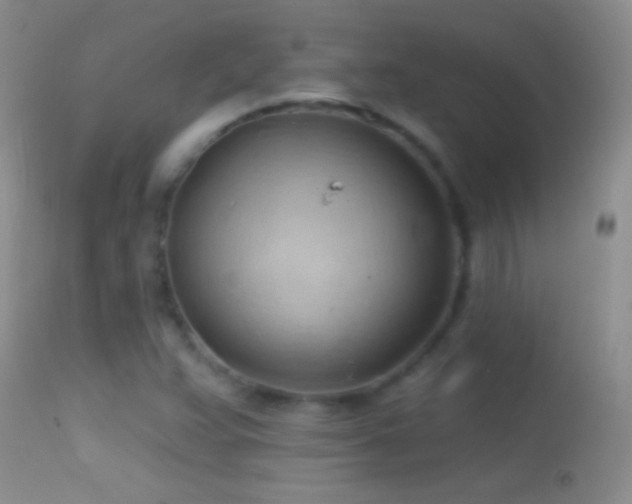 X0000114631359200910201410