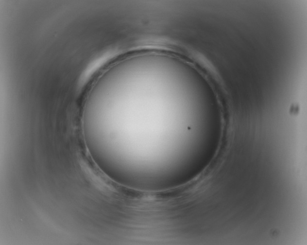 X0000114631360200910201410