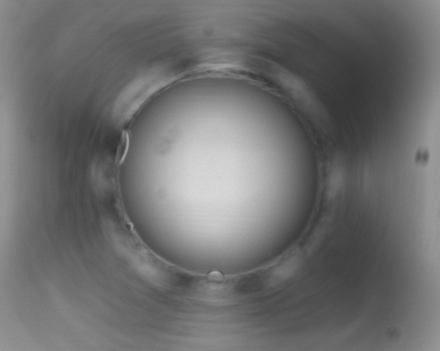 X0000114631361200910201410