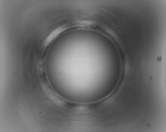 X0000114631362200910201410