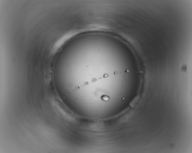 X0000114631363200910201410