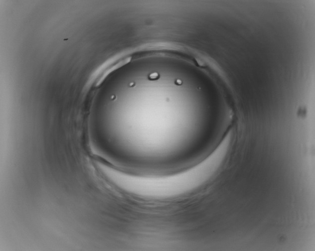 X0000114631364200910201410