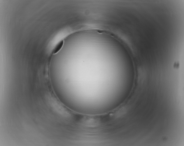 X0000114631365200910201410