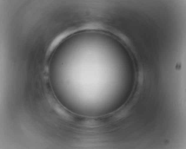 X0000114631366200910201410