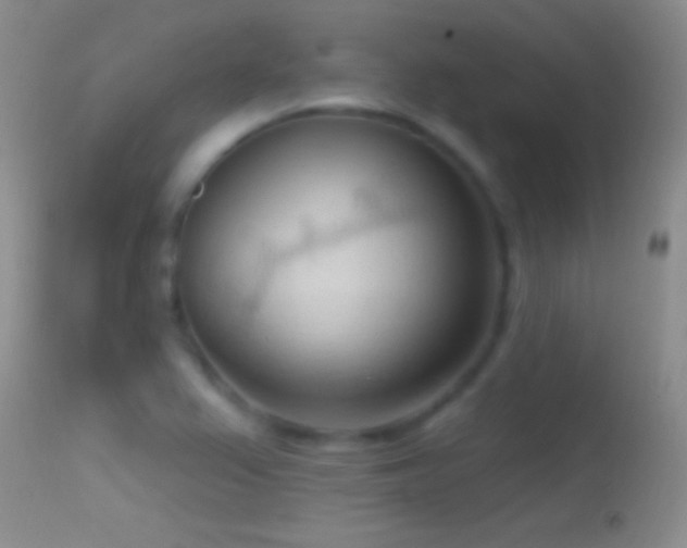 X0000114631367200910201410