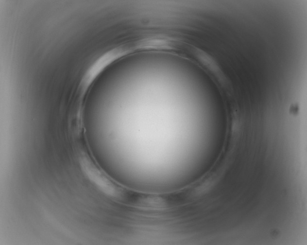 X0000114631370200910201410