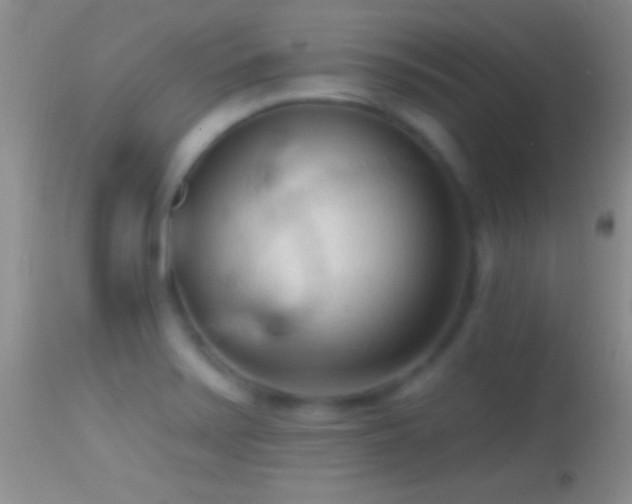 X0000114631371200910201410