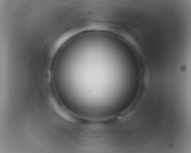 X0000114631372200910201410