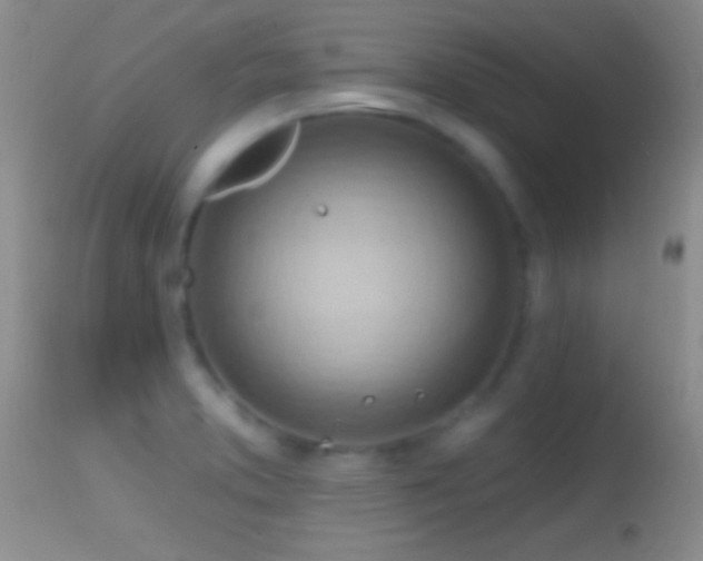 X0000114631373200910201410