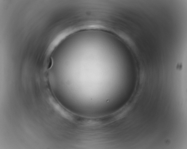 X0000114631374200910201410